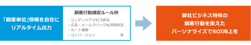 「顧客単位」情報を自在に
リアルタイム出力⇒御社ビジネス特有の顧客行動を捉えたパーソナライズでROI向上を