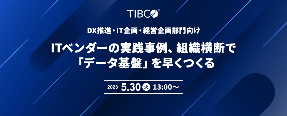 DX推進・IT企画・経営企画部門向け ITベンダーの実践事例、組織横断で「データ基盤」を早くつくる 