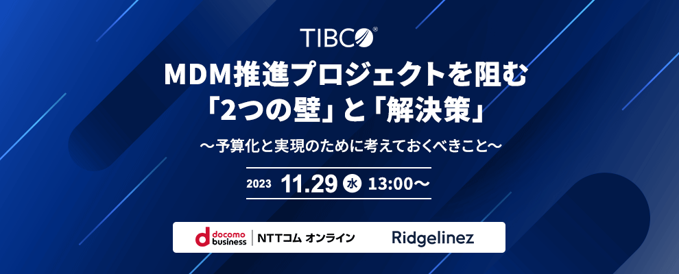 MDM推進プロジェクトを阻む「2つの壁」と「解決策」 ～予算化と実現のために考えておくべきこと～
