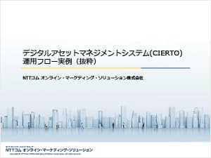デジタルアセットマネジメントシステム(CIERTO)運用フロー実例（抜粋）