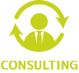 CONSULTING