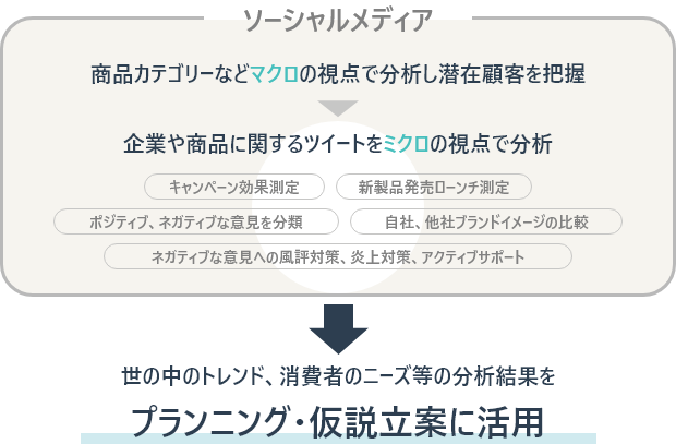 消費者トレンド分析の特長