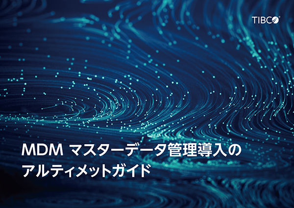 マスターデータ管理導入ガイド